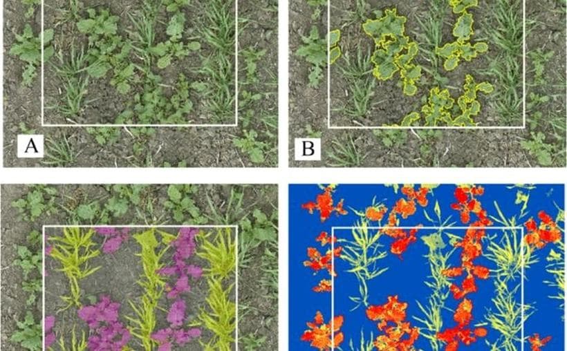 Agriculture & AgriTech: illustrative annotation example from the supplied Decoding Bits Data Services portfolio