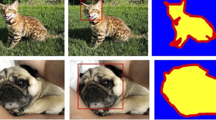 Segmentation masks: illustrative annotation example from the supplied Decoding Bits Data Services portfolio